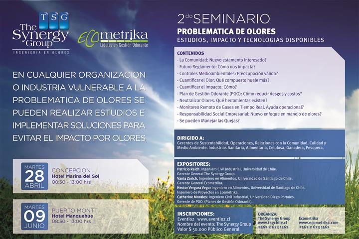 seminario the synergy group