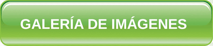Galeriadeimagenes